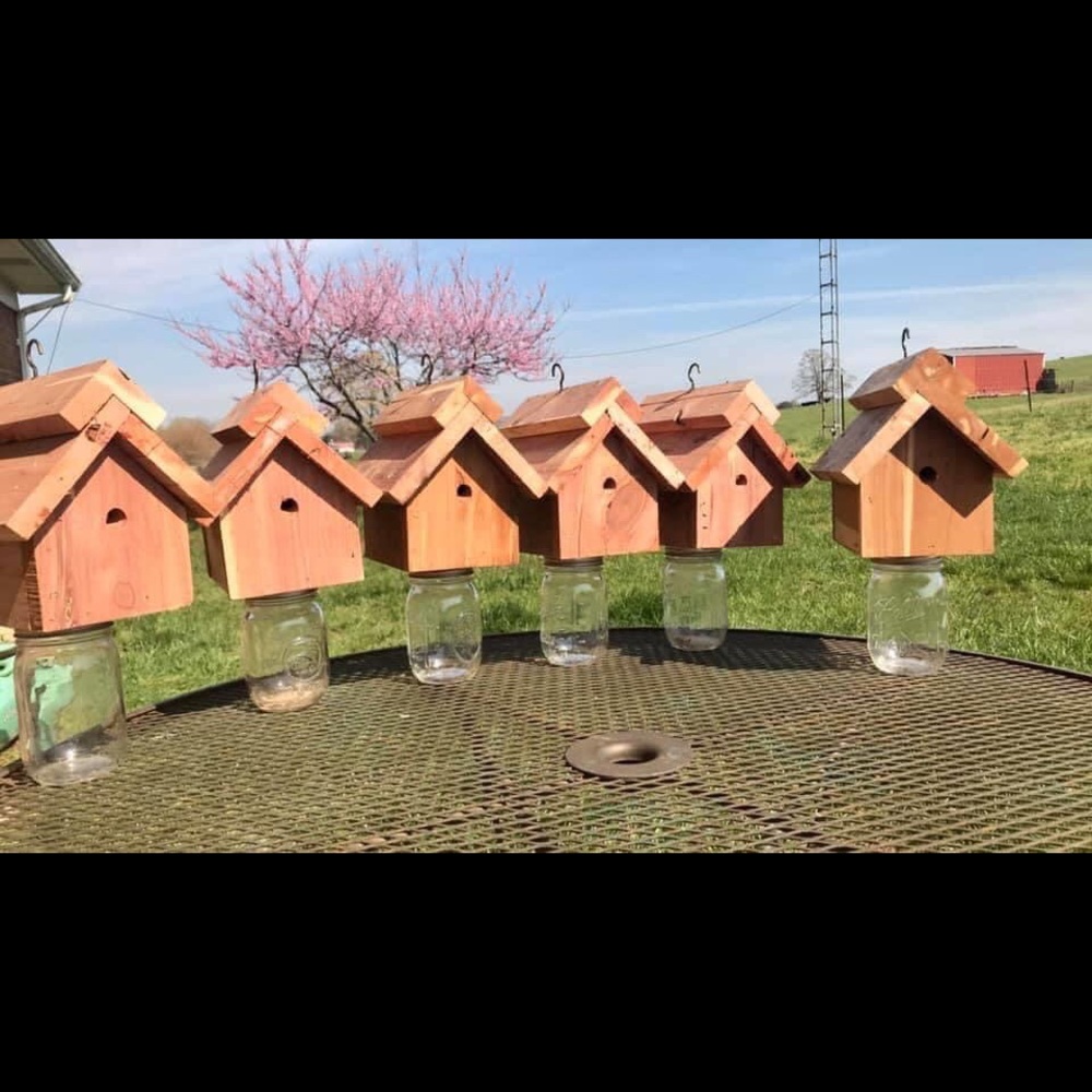 Solid cedar Wood bee traps